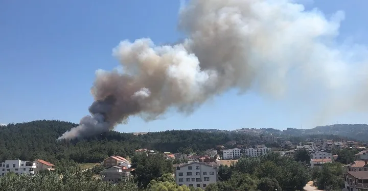Bursa Nilüfer’de orman yangını!