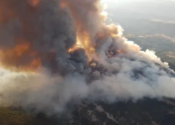 Ankara’da orman yangını sürüyor