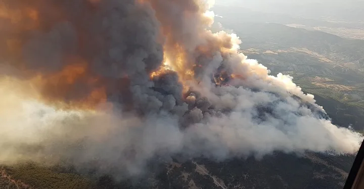 Ankara’da orman yangını sürüyor