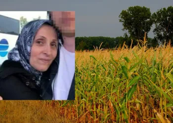 Domuzlara karşı nöbet tutarken karısını öldürdü