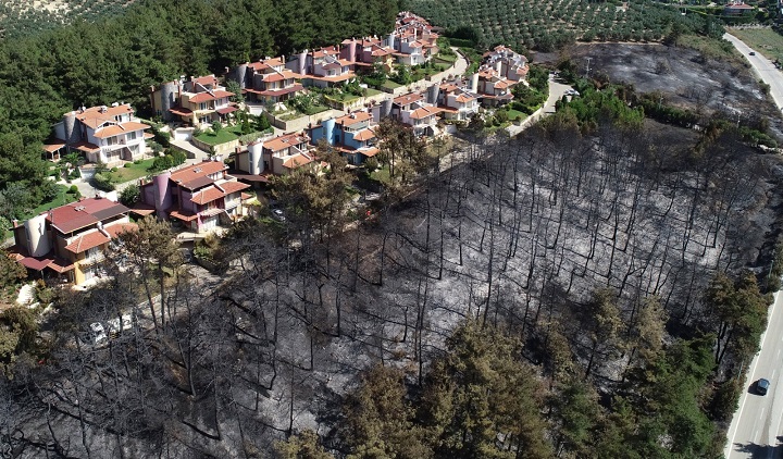 Bursa'da yıllar önce çıkan 2 yangın, Tarım Bakanı'nın gündeminde