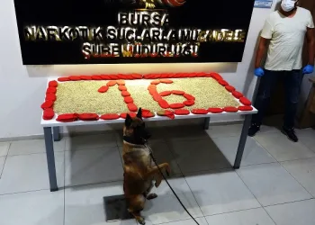 Bursa’da ‘Fırtına-16’ operasyonu