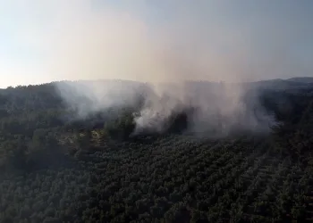 Bursa’daki orman yangını kontrol altına alındı
