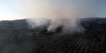 Bursa’daki orman yangını kontrol altına alındı