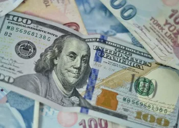 Dolar rekor tazeledi