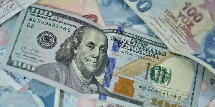 Dolar rekor tazeledi