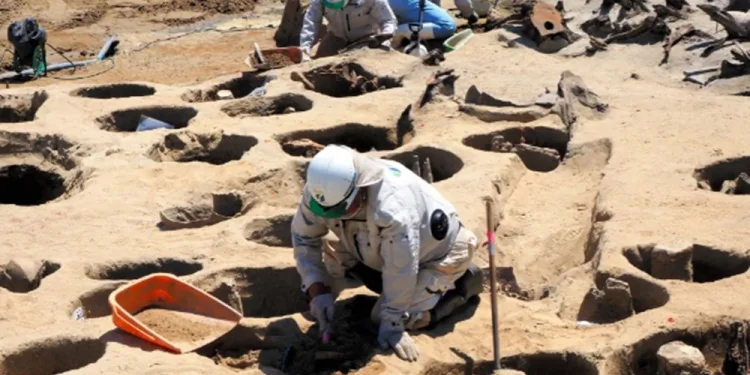 Japonya’da bulunan toplu mezar bulguları salgına işaret ediyor