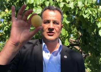 Kağızman kayısısı, coğrafi işaret yolcusu