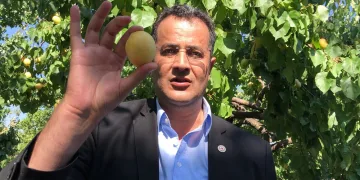 Kağızman kayısısı, coğrafi işaret yolcusu