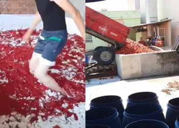 Skandal görüntü! Salça havuzunda ayaklarıyla domates çiğnedi