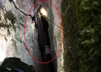 Bursa’da kayalıkların arasına düşen keçi 1 saatte kurtarıldı