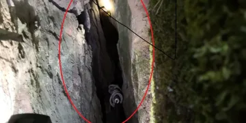 Bursa’da kayalıkların arasına düşen keçi 1 saatte kurtarıldı