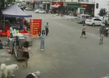 Koşan köpeğin tasmasına takılıp düşerek öldü