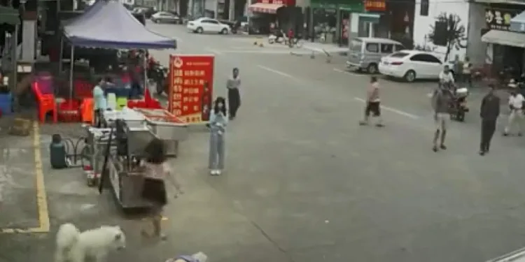 Koşan köpeğin tasmasına takılıp düşerek öldü