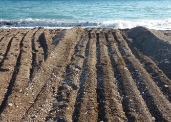 Antalya’daki skandal görüntüler sonrası belediyeye rekor ceza