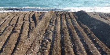 Antalya’daki skandal görüntüler sonrası belediyeye rekor ceza
