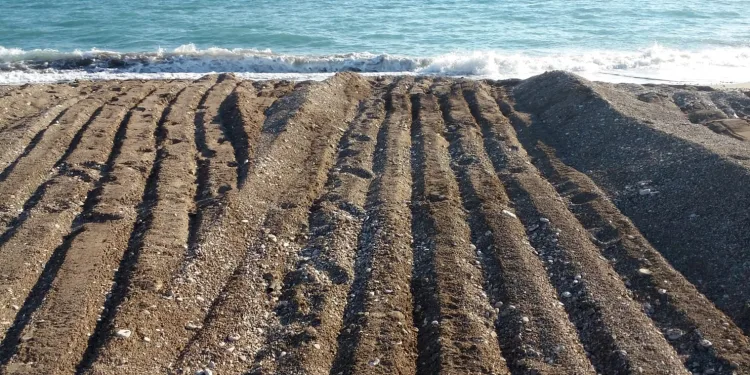 Antalya’daki skandal görüntüler sonrası belediyeye rekor ceza