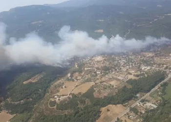 Ege ve Marmara’da orman yangınları