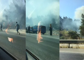 Bursa’da korkutan orman yangını 1 saatte söndürüldü