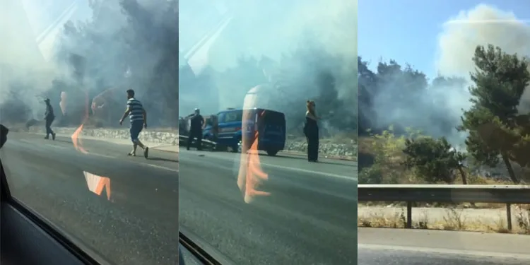 Bursa’da korkutan orman yangını 1 saatte söndürüldü