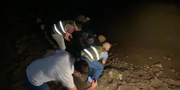Kaçak kurbağa avına 737 bin lira ceza