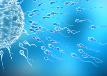 Erkek kısırlığı ile ilişkili yeni bir gen tanımlandı