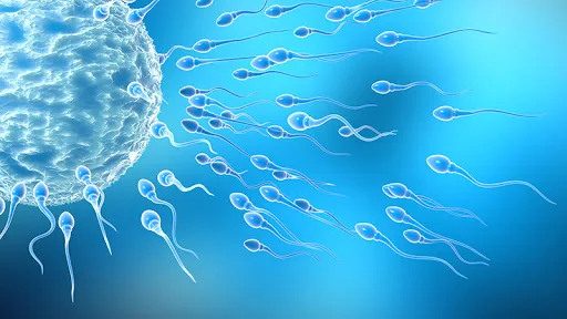 Erkek kısırlığı ile ilişkili yeni bir gen tanımlandı