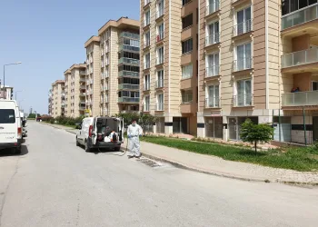 Yıldırım Belediyesi’nden haşerelere karşı ilaçlama