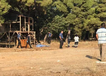 Ormanlık alanda dövülerek öldürülmüş olarak bulundu