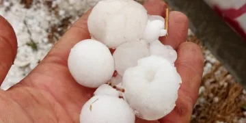 Bursa Gemlik’te etkili olan dolu zeytinlikleri vurdu