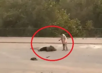 Bursa’da dehşet anlar! Sokak ortasında eşini vurdu