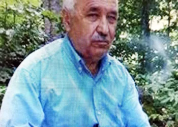 Kestiği ağaç babasını öldürdü