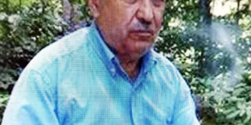 Kestiği ağaç babasını öldürdü