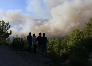 Hatay’da orman yangını 5’inci günde kontrol altına alındı