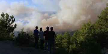 Hatay’da orman yangını 5’inci günde kontrol altına alındı