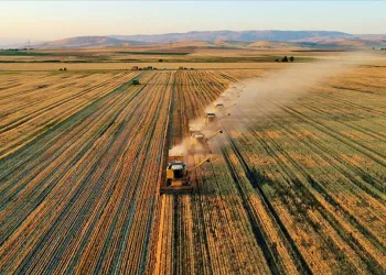 Hazineye ait tarım arazileri çiftçilere kiralanacak