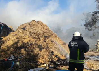 Yangına müdahale eden itfaiyecilere arılar saldırdı