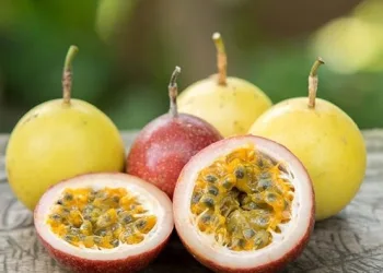 Çarkıfelek meyvesi nedir? Çarkıfelek meyvesi nerelerde yetişir?