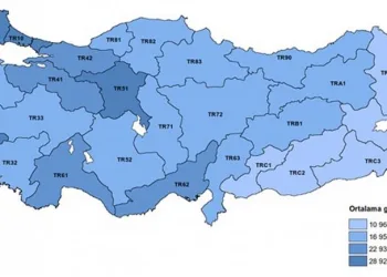 Türkiye’de gelir dağılımı