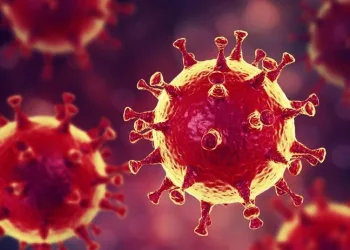 Bilim insanlarından Covid-19’a karşı yeni keşif! Tamamen etkisiz hale getiriyor