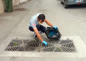 Osmangazi çevre sağlığını koruyor