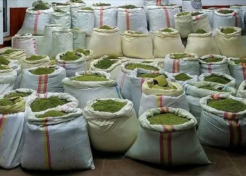 Diyarbakır’da narko teröre darbe