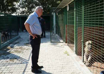 Mustafakemalpaşa hayvan barınağına tam not