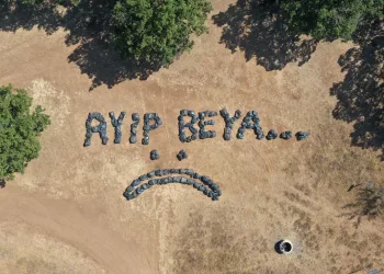 Trakya usulü tepki! Ayıp Beya…