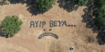 Trakya usulü tepki! Ayıp Beya…