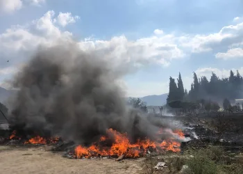 Bursa otluk alanda çıkan yangın araç lastiklerine sıçradı