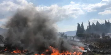Bursa otluk alanda çıkan yangın araç lastiklerine sıçradı