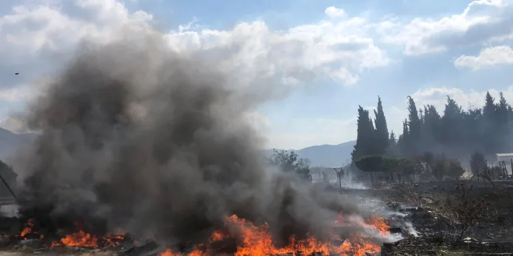 Bursa otluk alanda çıkan yangın araç lastiklerine sıçradı