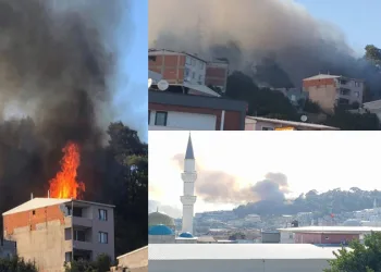 Bursa Ovaakça’da evde çıkan yangın ormana sıçradı