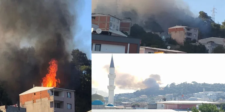 Bursa Ovaakça’da evde çıkan yangın ormana sıçradı